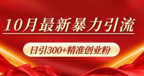 10月最新暴力引流，日引300+精准创业粉