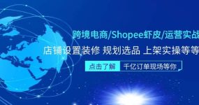 跨境电商/Shopee虾皮/运营实战训练营：店铺设置装修 规划选品 上架实操等等