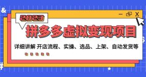 拼多多虚拟变现项目：讲解开店流程-实操-选品-上架-自动发货等(无水印)