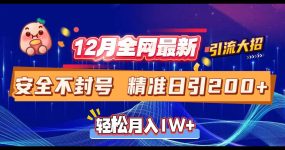 12月全网最新引流大招 安全不封号 日引精准粉200+