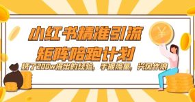 小红书精准引流·矩阵陪跑计划：烧了200w得出的经验，手握流量，兴风作浪！
