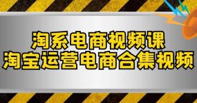 淘系-电商视频课，淘宝运营电商合集视频（33节课）