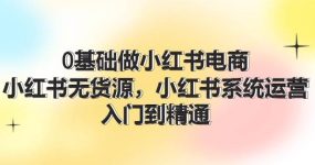 0基础做小红书电商，小红书无货源，小红书系统运营，入门到精通 (70节)