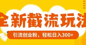 全新截流玩法，精准引流创业粉，轻松日入300+