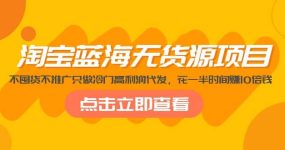 淘宝蓝海无货源项目，不囤货不推广只做冷门高利润代发