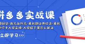 拼多多·实战课：万人团玩法/截流自然流/最新强付费打法/最新原价卡大促..