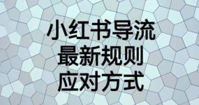 小红书导流最新规则应对方式【揭秘】