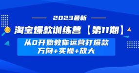 淘宝爆款训练营【第11期】 从0开始教你运营打爆款，方向+实操+放大