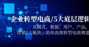 企业转型电商/5大底层逻辑，从模式 数据 用户 产品 营销5大板块，高效转型