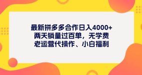 最新拼多多项目日入4000+两天销量过百单，无学费、老运营代操作、小白福利