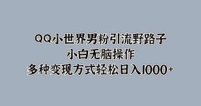 QQ小世界男粉引流野路子，小白无脑操作，多种变现方式轻松日入1000+