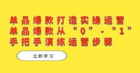 单品爆款打造实操运营，单品爆款从“0”-“1”手把手演练运营步骤