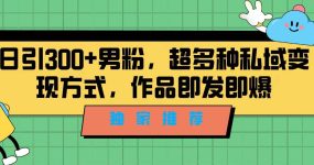 独家推荐！日引300+男粉，超多种私域变现方式，作品即发即报
