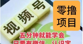 微信视频号挂机零成本撸米项目，单号一天收益多米，帐号越多收益就越高！