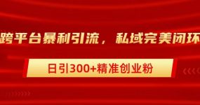 跨平台暴力引流，私域完美闭环，日引300+精准创业粉