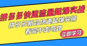 拼多多-快速流量起爆实战，拼多多新品快速起爆实操，看完不走弯路