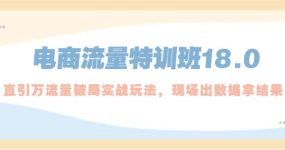 电商流量特训班18.0，直引万流量破局实操玩法，现场出数据拿结果