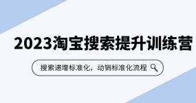 2023淘宝搜索-提升训练营，搜索-递增标准化，动销标准化流程（7节课）