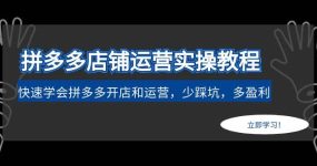 拼多多店铺运营实操教程：快速学会拼多多开店和运营，少踩坑，多盈利