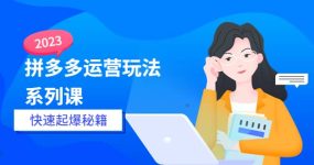 2023拼多多运营-玩法系列课—-快速起爆秘籍【更新-25节课】