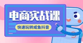 电商实战课，快速玩转咸鱼抖音，全体系全流程精细化咸鱼电商运营-71节课
