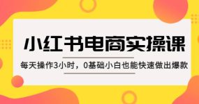 小红书·电商实操课：每天操作3小时，0基础小白也能快速做出爆款