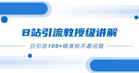 B站引流教授级讲解，细节满满，日引流100+精准粉不是问题