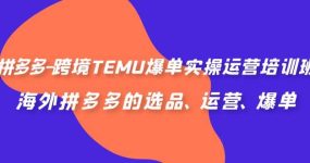 拼多多-跨境TEMU爆单实操运营培训班，海外拼多多的选品、运营、爆单