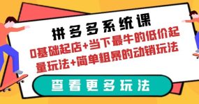 拼多多系统课：0基础起店+当下最牛的低价起量玩法+简单粗暴的动销玩法