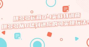 拼多多运营0-1实战特训营，拼多多从0础到进阶的可实操玩法