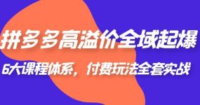 拼多多-高溢价 全域 起爆，6大课程体系，付费玩法全套实战