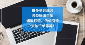 拼多多训练营：各玩法合集，爆款打造，低价引流，7天破千单等等