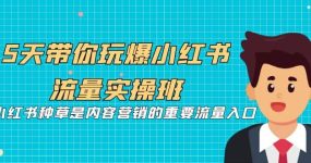 5天带你玩爆小红书流量实操班，小红书种草是内容营销的重要流量入口