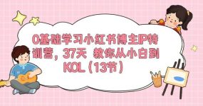 0基础学习小红书博主IP特训营，37天 教你从小白到KOL（13节）