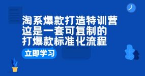 淘系爆款打造特训营：这是一套可复制的打爆款标准化流程