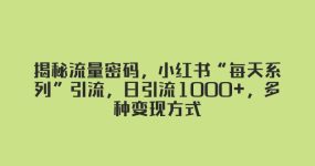 揭秘流量密码，小红书“每天系列”引流，日引流1000+，多种变现方式