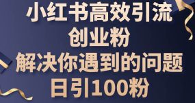 小红书高效引流创业粉，解决你遇到的问题，日引100粉