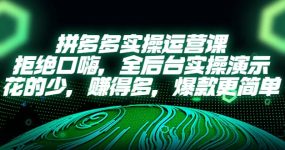 拼多多实操运营课：拒绝口嗨，全后台实操演示，花的少，赚得多，爆款更简单