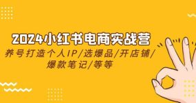 2024小红书电商实战营，养号打造IP/选爆品/开店铺/爆款笔记/等等（24节）