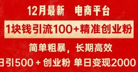 拼多多淘宝电商平台1块钱引流100个精准创业粉，简单粗暴高效长期精准，单人单日引流500+创业粉，日变现2000+