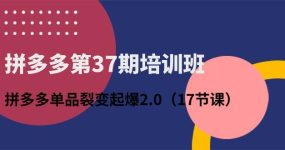 拼多多第37期培训班：拼多多单品裂变起爆2.0（17节课）