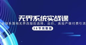 无界系统实战课：全体系落地无界改版后选择、出价、高投产做付费引流-38节