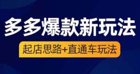 2023拼多多爆款·新玩法：起店思路+直通车玩法（3节精华课）
