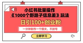小红书批量操作《1000个野路子信息差》玩法 日引100+创业粉 一分钟一个图文