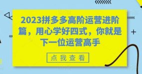 2023拼多多高阶运营进阶篇，用心学好四式，你就是下一位运营高手