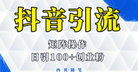 抖音引流术，矩阵操作，一天能引100多创业粉