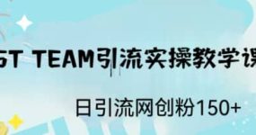 ST TEAM引流实操课，日引流网创粉100+