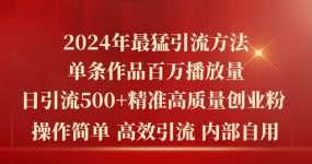 2024年最猛暴力引流方法，单条作品百万播放 单日引流500+高质量精准创业粉