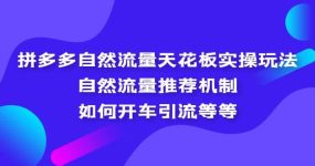 拼多多自然流量天花板实操玩法：自然流量推荐机制，如何开车引流等等