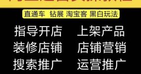 2023淘宝开店教程0基础到高级全套视频网店电商运营培训教学课程（2月更新）